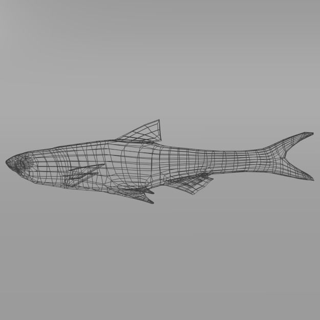 15 Saltwater Fish Pack Low-poly 3D model_10
