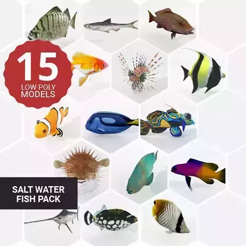 15 Saltwater Fish Pack Low-poly 3D model
