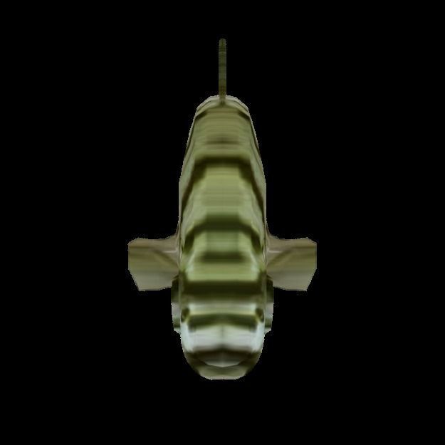 15 Saltwater Fish Pack Low-poly 3D model_17