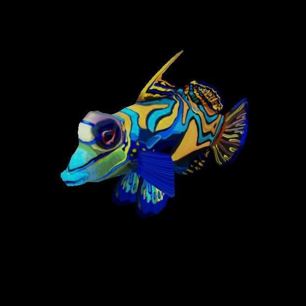 15 Saltwater Fish Pack Low-poly 3D model_94