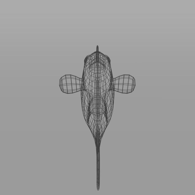 15 Saltwater Fish Pack Low-poly 3D model_57