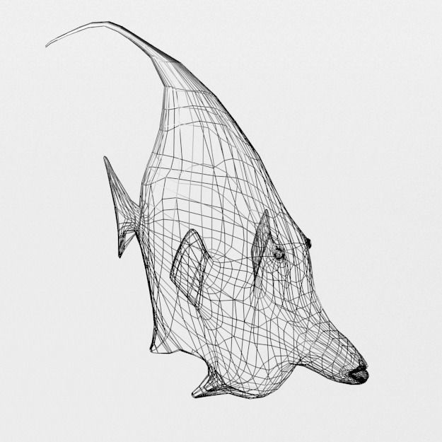 15 Saltwater Fish Pack Low-poly 3D model_108