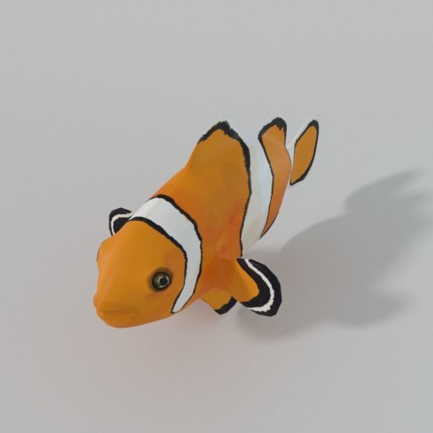 15 Saltwater Fish Pack Low-poly 3D model_64