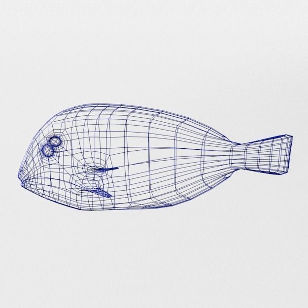 15 Saltwater Fish Pack Low-poly 3D model_129