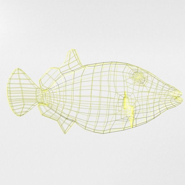 15 Saltwater Fish Pack Low-poly 3D model_52