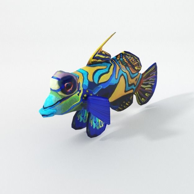 15 Saltwater Fish Pack Low-poly 3D model_102