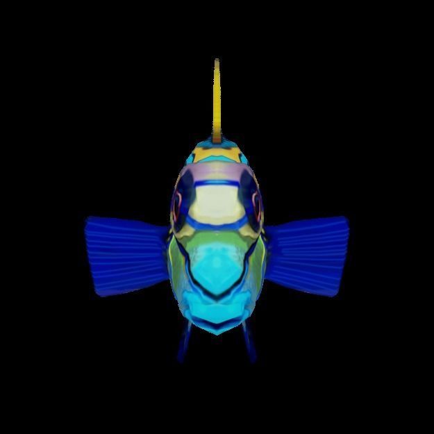 15 Saltwater Fish Pack Low-poly 3D model_96