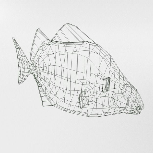15 Saltwater Fish Pack Low-poly 3D model_19