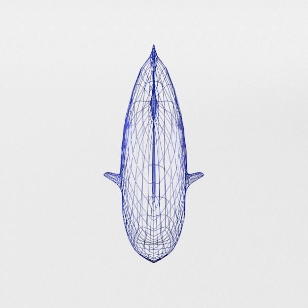 15 Saltwater Fish Pack Low-poly 3D model_128