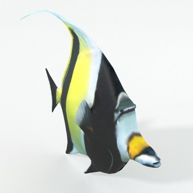 15 Saltwater Fish Pack Low-poly 3D model_110