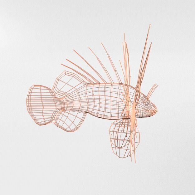 15 Saltwater Fish Pack Low-poly 3D model_88