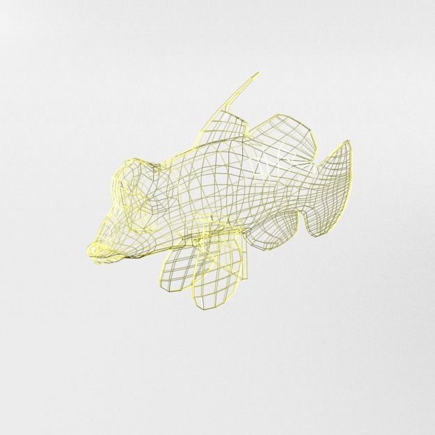 15 Saltwater Fish Pack Low-poly 3D model_99