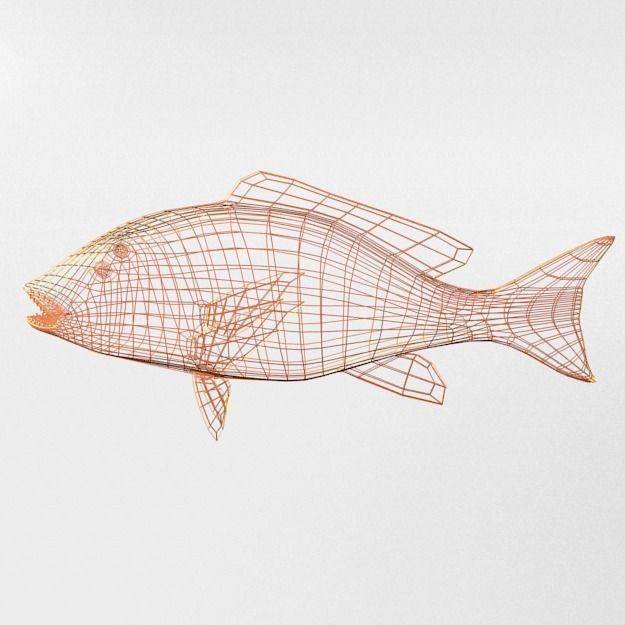 15 Saltwater Fish Pack Low-poly 3D model_122