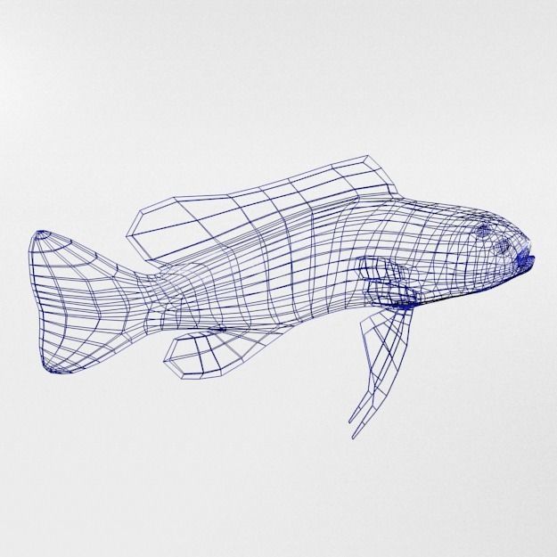 15 Saltwater Fish Pack Low-poly 3D model_75