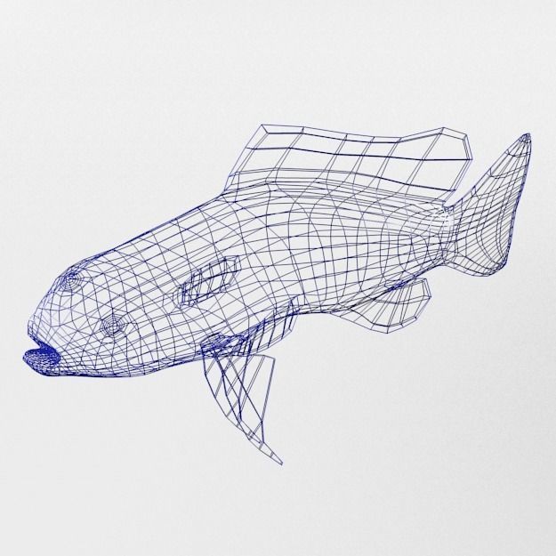 15 Saltwater Fish Pack Low-poly 3D model_76