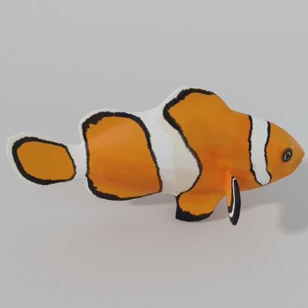 15 Saltwater Fish Pack Low-poly 3D model_62