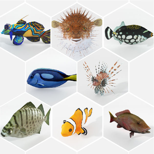 15 Saltwater Fish Pack Low-poly 3D model_1