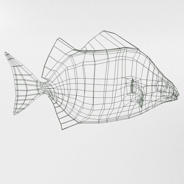 15 Saltwater Fish Pack Low-poly 3D model_23