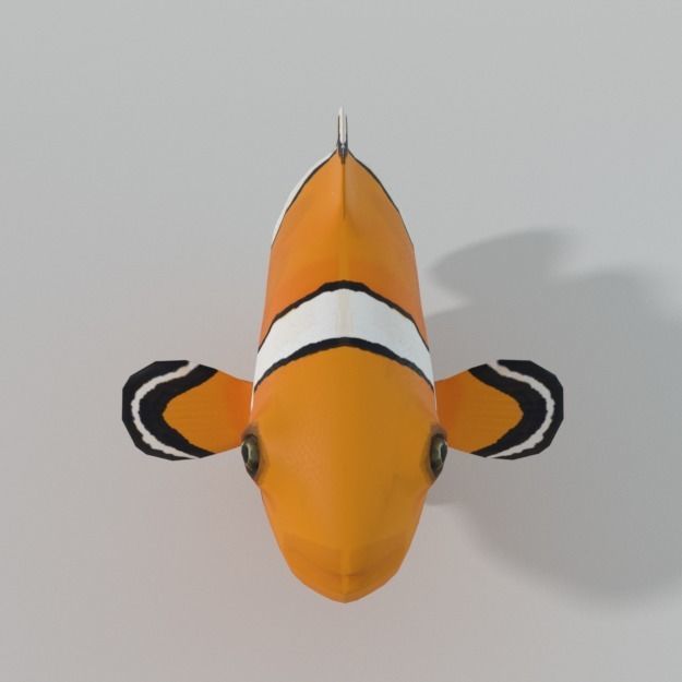 15 Saltwater Fish Pack Low-poly 3D model_63