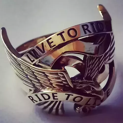 Ring EAGLE 3D print model