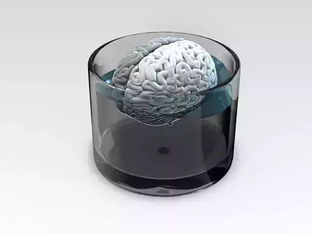 Brain in glass