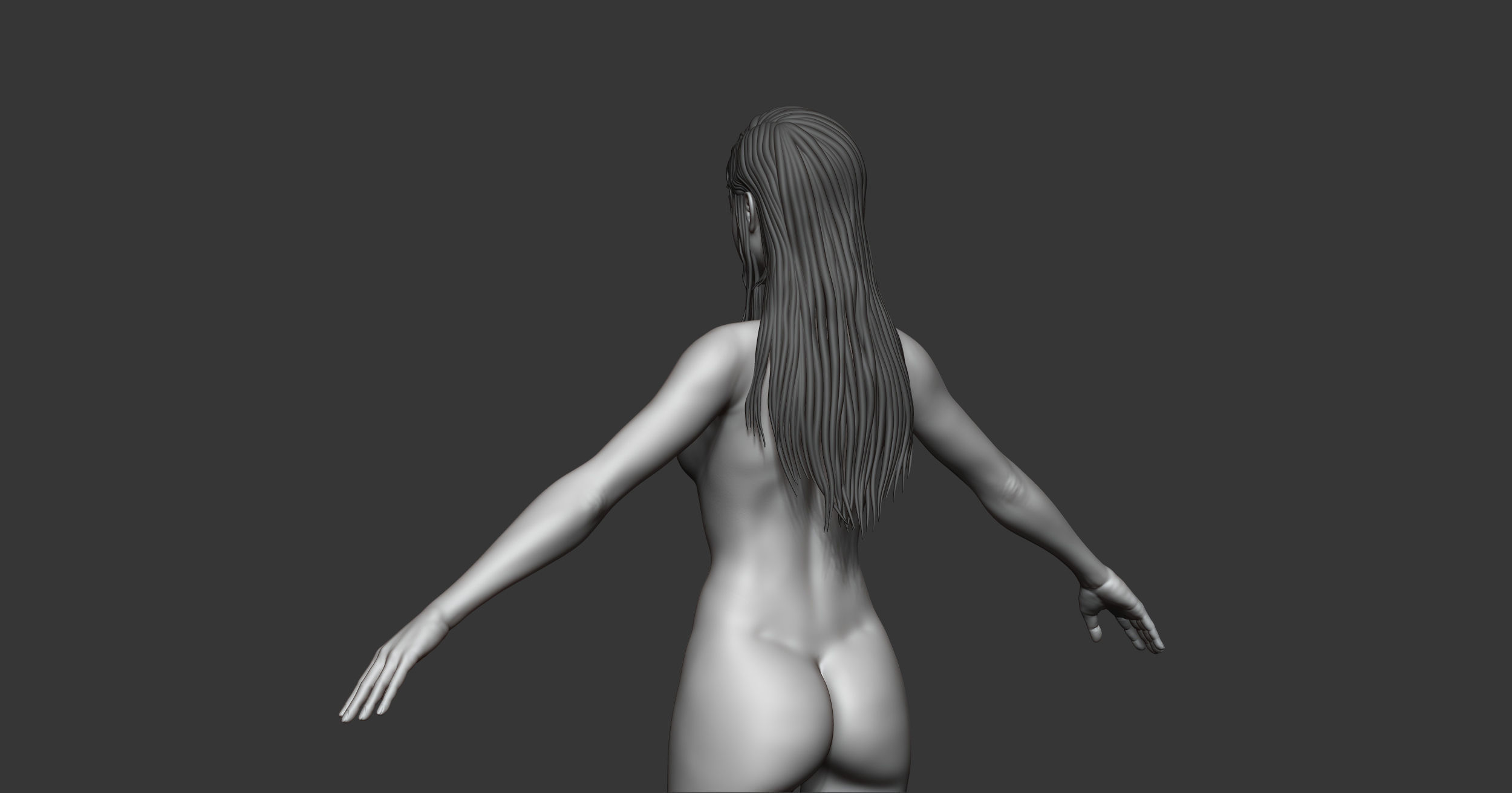 Female anatomy with hair Basemesh 3D model_11