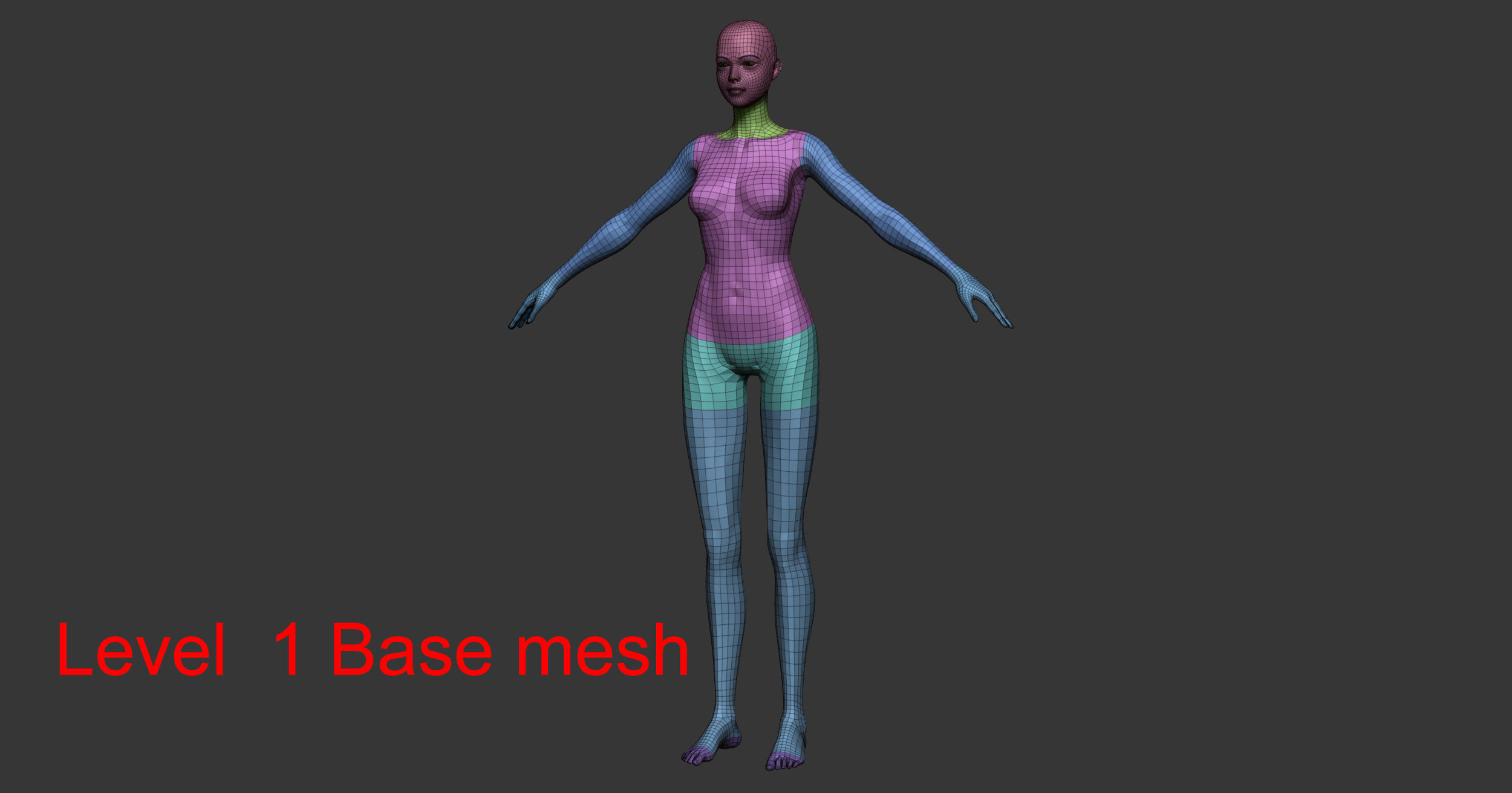 Female anatomy with hair Basemesh 3D model_14