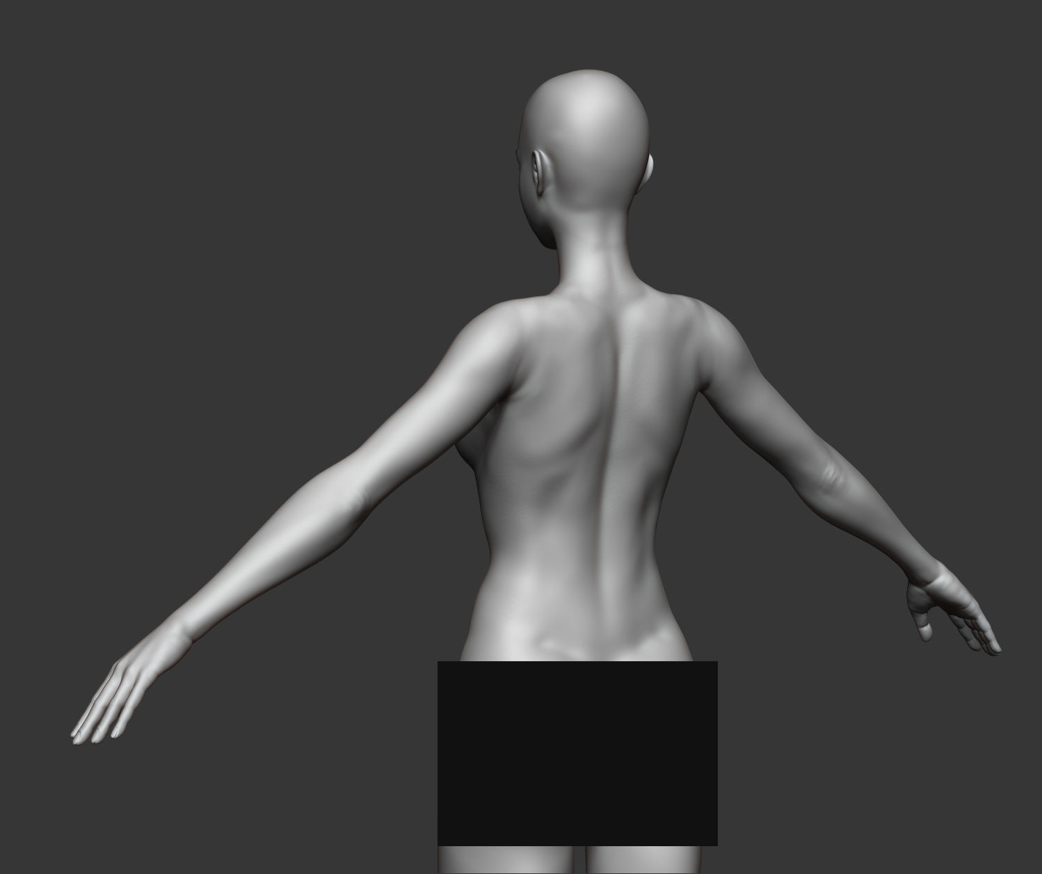 Female anatomy with hair Basemesh 3D model_13
