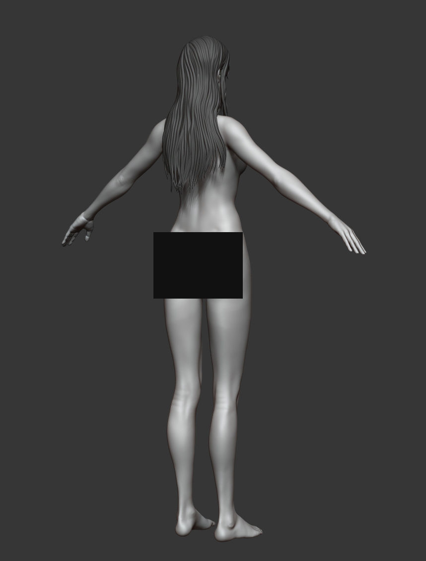 Female anatomy with hair Basemesh 3D model_5