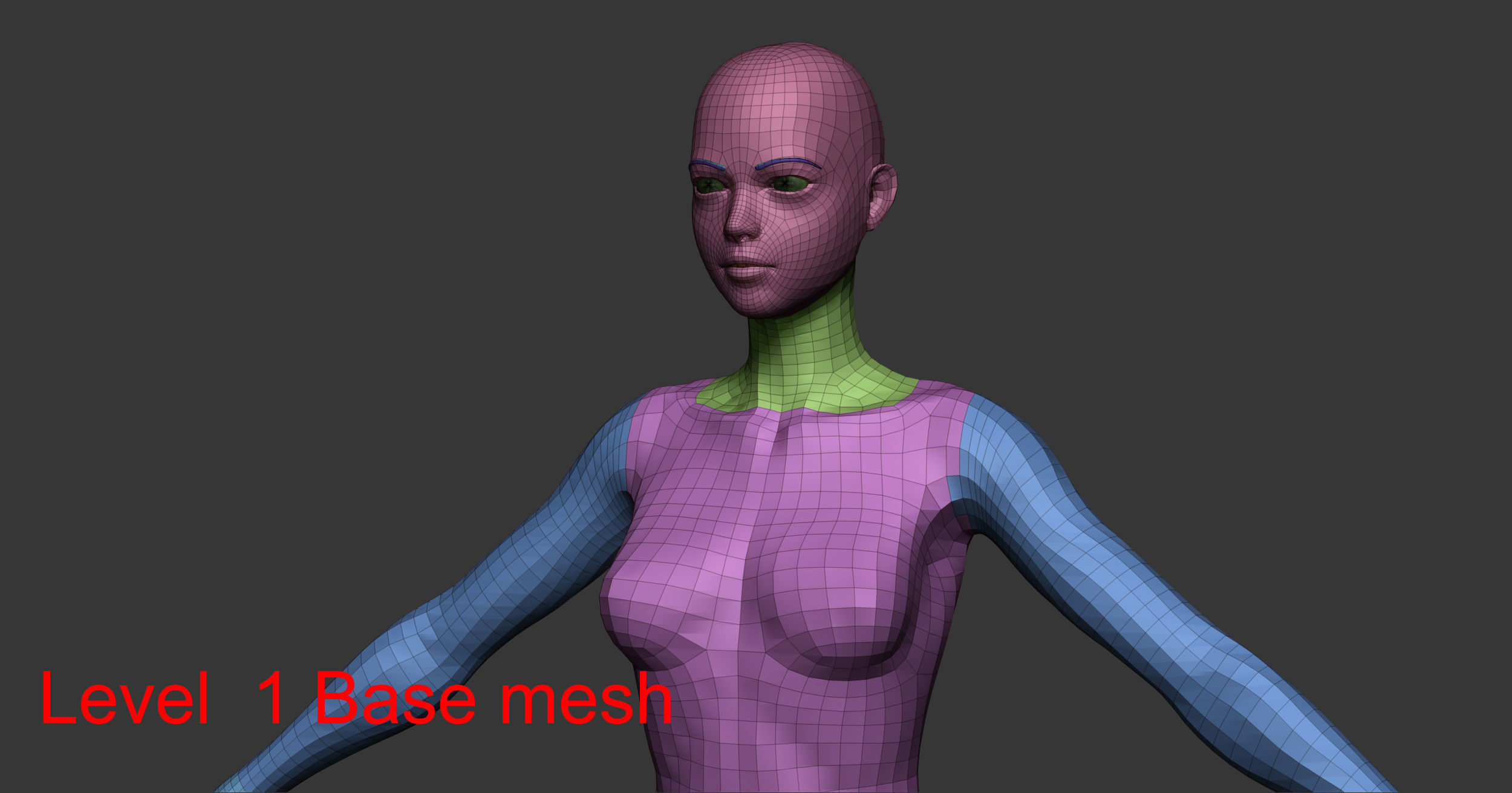 Female anatomy with hair Basemesh 3D model_16