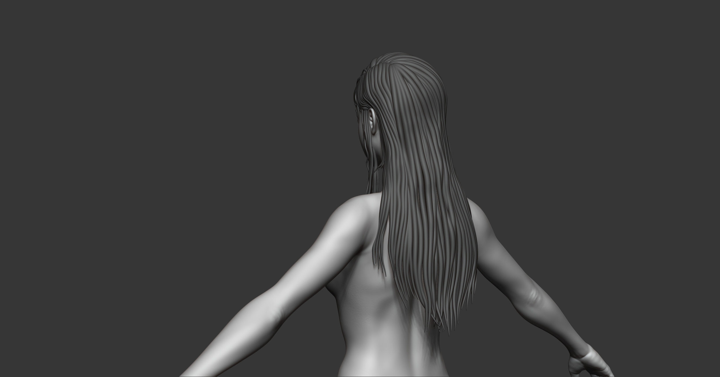 Female anatomy with hair Basemesh 3D model_9