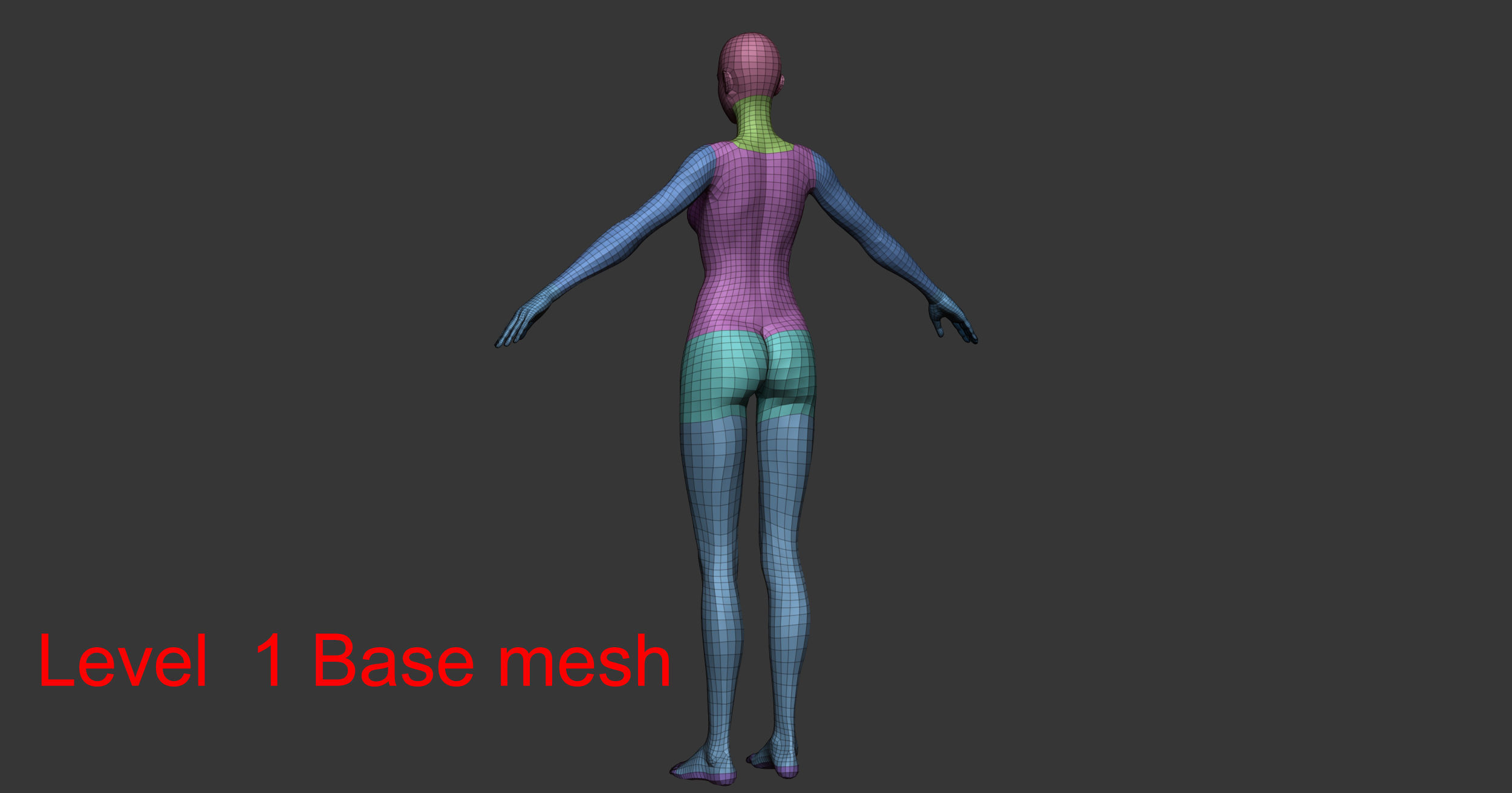 Female anatomy with hair Basemesh 3D model_15