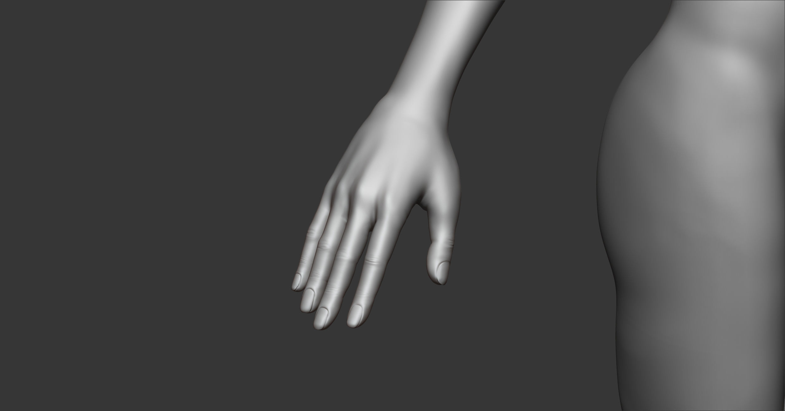 Female anatomy with hair Basemesh 3D model_6