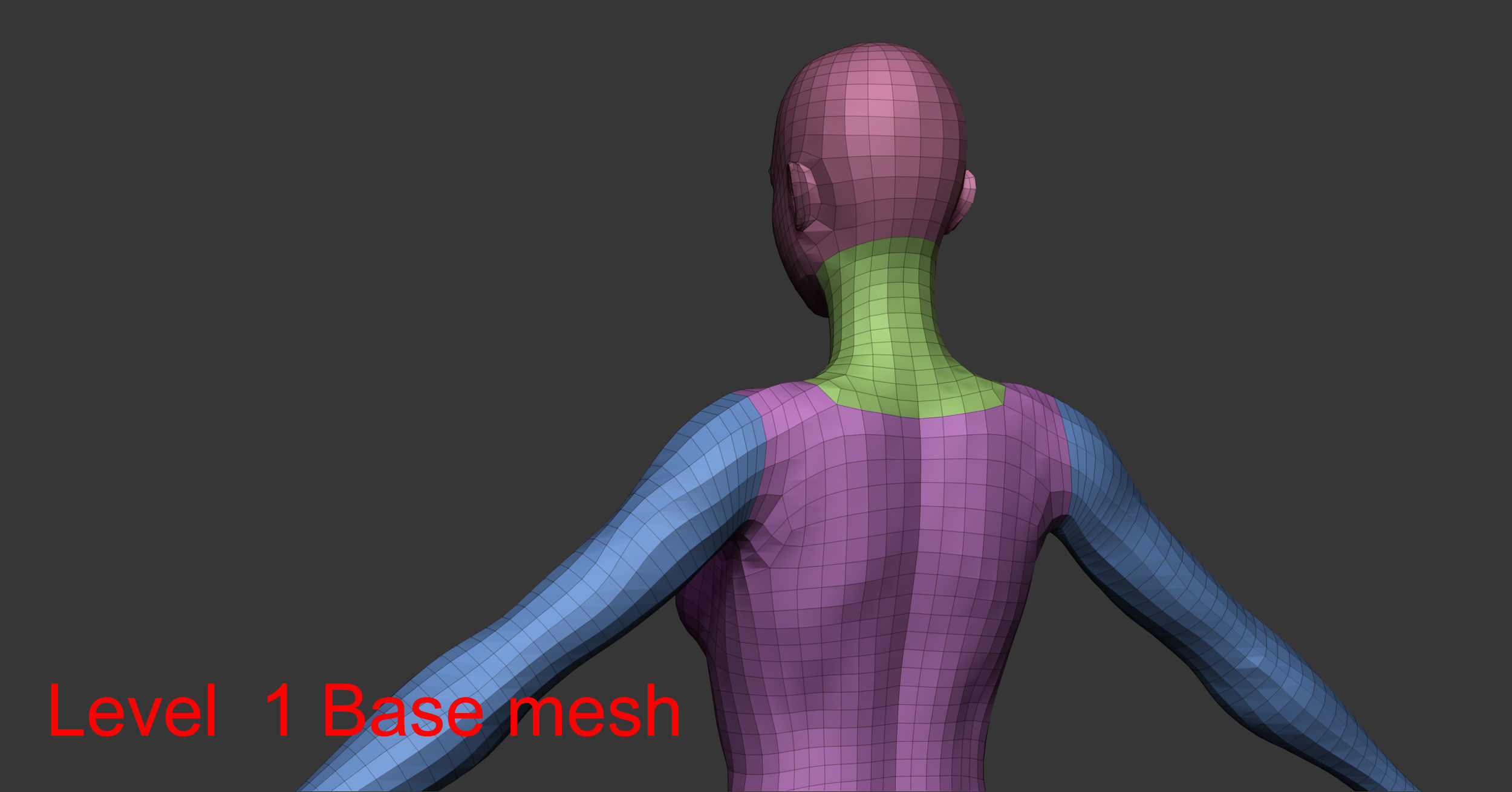Female anatomy with hair Basemesh 3D model_17