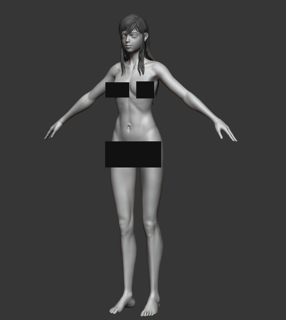 Female anatomy with hair Basemesh 3D model_4