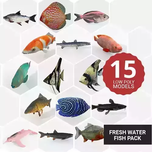 15 Freshwater  Fish Pack Low-poly 3D model