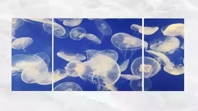 Triptych Wall Art Jellyfish Low-poly 3D model