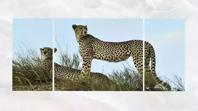 Triptych Wall Art Cheetahs Low-poly 3D model