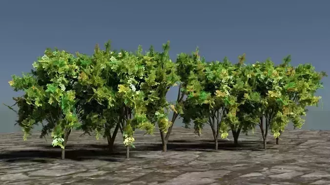 Realistic Trees for Game Assets or Fields for Environtment