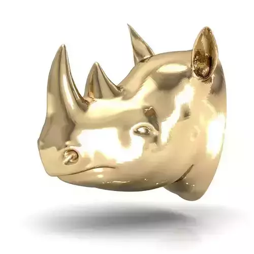 rhinoceros  head