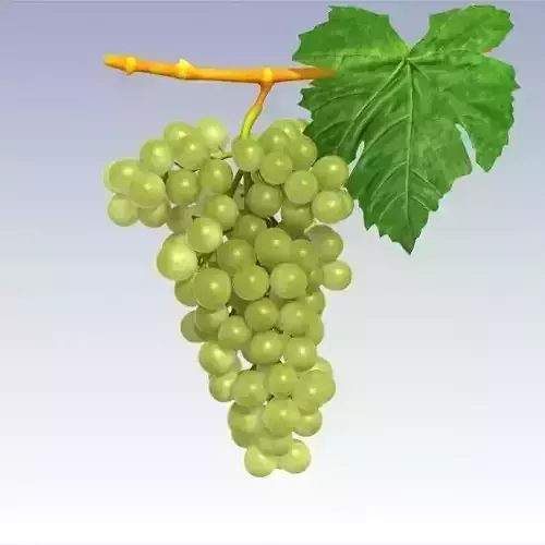 Grapes Green