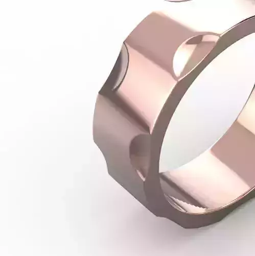 110707 R Regular  ring  Wheel 3D print model
