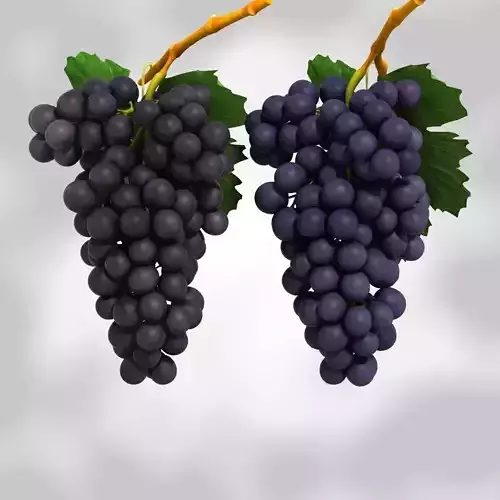 Grapes Black and Blue Low-poly 3D model