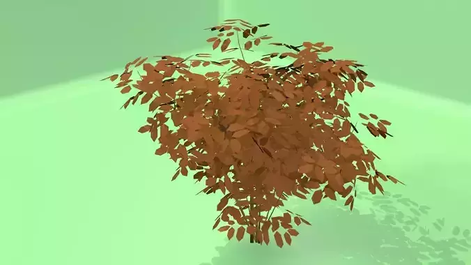 shrub for decoration and games