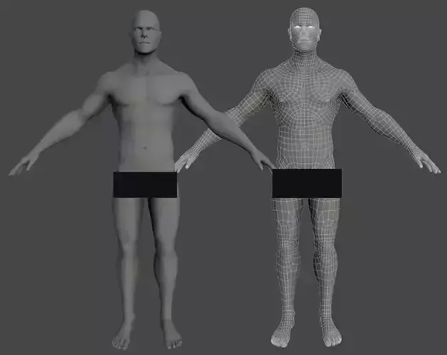 Base mesh Human Man Anatomy 
