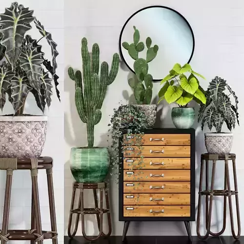 Plants collection 123