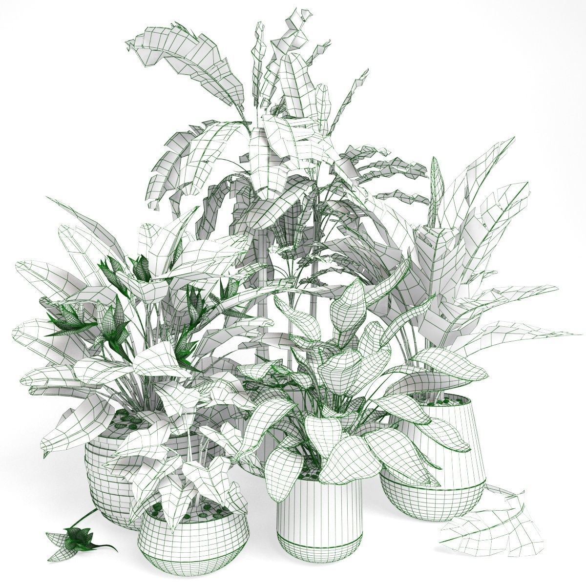 Plants tropical 01 3D model_3
