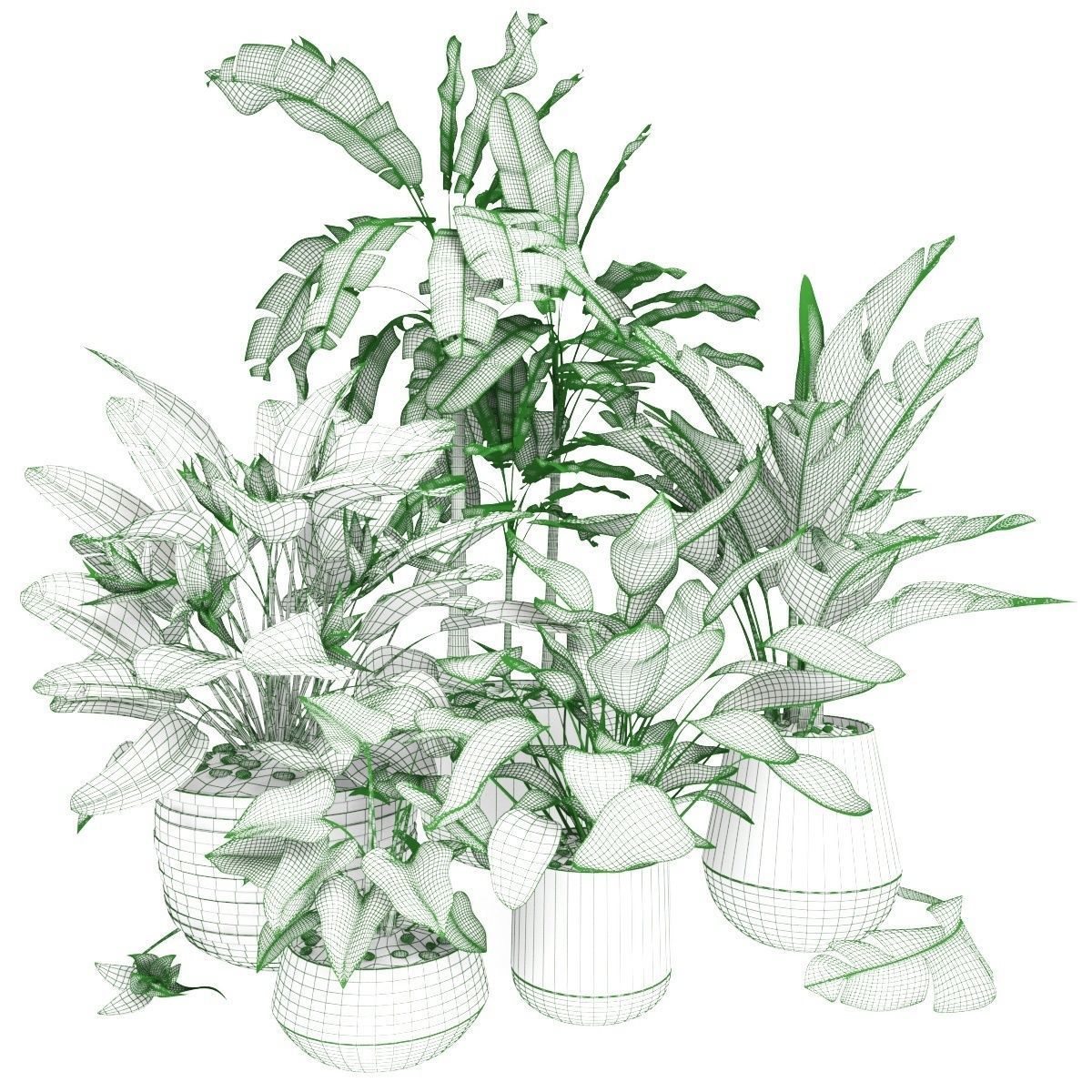 Plants tropical 01 3D model_4