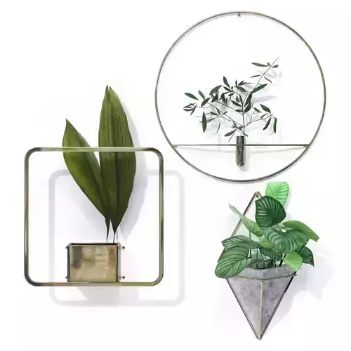 Metal Frame Plant Pot 3D model