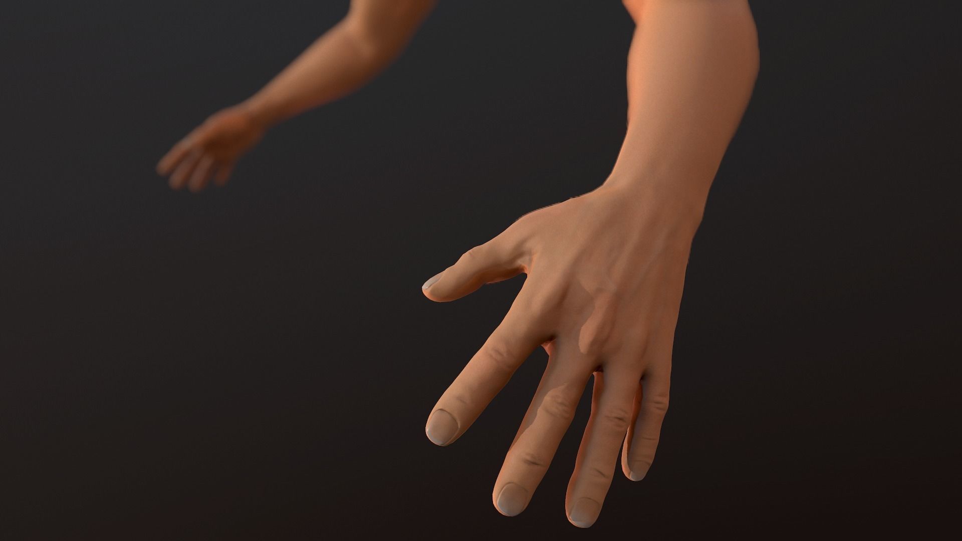 Male FPS Arms Low-poly 3D model_6